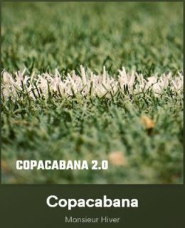 New Music: Monsieur Hiver - Copacabana Featuring Steffa